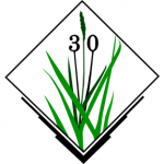 Logo - 30 years of GRASS GIS